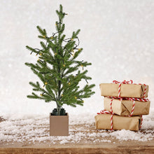 Santa's Helper Warm Light Christmas Tree Merry Celebrations 60CM - Santas Workshop Direct