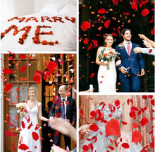 100-4000PCS Decorative Rose Petals Romantic Flower Petals Wedding Festival Props