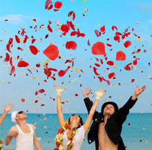 100-4000PCS Decorative Rose Petals Romantic Flower Petals Wedding Festival Props