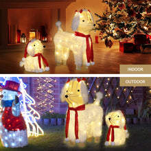 Jingle Jollys Christmas Lights 60 LED Fairy Light 2pcs Dog Decorations Set - Santas Workshop Direct 