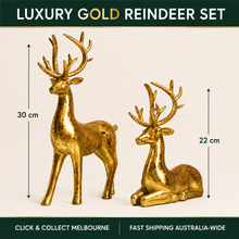Pre-Order | Luxury Gold Resin Reindeer Ornament Set – Standing & Sitting Reindeer Figurines (30cm  & 22 cm), Elegant Christmas Tabletop Decoration & Holiday Home Décor