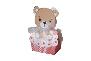 Gender Reveal Gift Favour Bomboniere gift box 12pcs