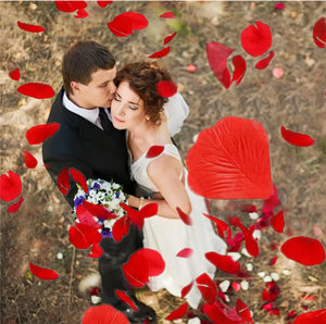 1000 Pcs/Pack Artificial Flower Rose Petals for Wedding Valentine's Day Decor Santas Workshop Direct