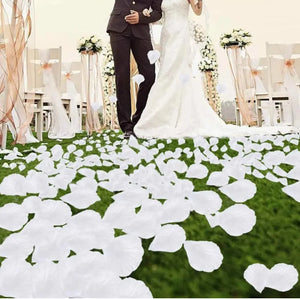 100 Pcs/Pack Artificial Flower Rose Petals for Wedding Valentine's Day Decor WHITE Santas Workshop Direct