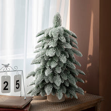 55cm Frosted Mini Christmas Tree – Snow-Covered Indoor Holiday Decoration - Santas Workshop Direct 