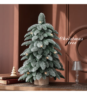 55cm Frosted Mini Christmas Tree – Snow-Covered Indoor Holiday Decoration - Santas Workshop Direct 