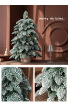 55cm Frosted Mini Christmas Tree – Snow-Covered Indoor Holiday Decoration - Santas Workshop Direct 