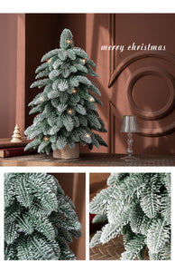 55cm Frosted Mini Christmas Tree – Snow-Covered Indoor Holiday Decoration - Santas Workshop Direct 