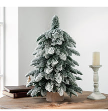 55cm Frosted Mini Christmas Tree – Snow-Covered Indoor Holiday Decoration - Santas Workshop Direct 