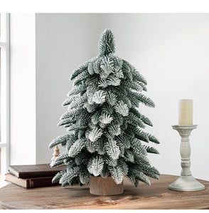 55cm Frosted Mini Christmas Tree – Snow-Covered Indoor Holiday Decoration - Santas Workshop Direct 