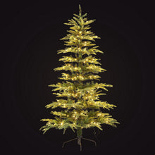 Christmas Tree 2.1M LED Sparse Xmas Tree 860 Tips Party Decoration - Santas Workshop Direct 
