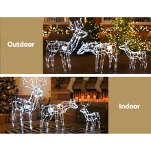 3 PCS Christmas Lights Reindeers 250 LED Decorations Jingle Jollys - Santas Workshop Direct 