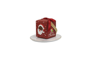  Christmas cookies gift box x 12 pcs Santas Workshop Direct